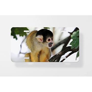 Imagem de Capa para placa de licença de macaco esquilo em uma árvore 2 – Capa para placa de carro – Capa para placa de carro 15 x 30 cm
