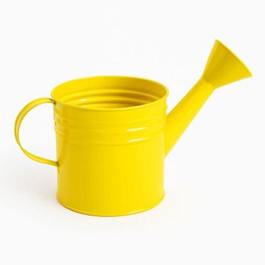 Imagem de Mini Regador Aberto Aço Galvanizado 3 Litros para Jardim e Festas - SF223