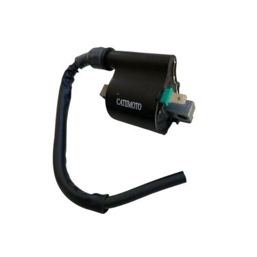 Imagem de Bobina Ignição Honda Biz 100 2013 A 2015 1 Linha