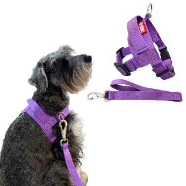 Imagem de Coleira Peitoral Anti-puxão com Guia para Cão de Pequeno Porte - Canadá K9 (roxo)