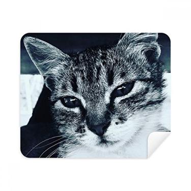 Imagem de Animal Cool Grey Cat Pano de limpeza para fotografia de gato Limpador de tela 2 peças Tecido de camurça