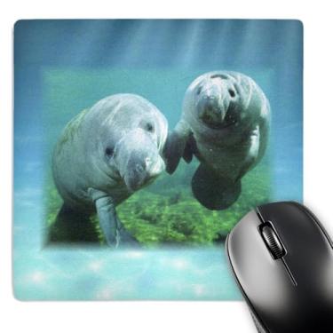 Imagem de 3dRose Mouse pad LLC 20 x 20 x 0,63 cm, 2 manatees olhando para você (mp_39647_1)