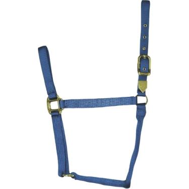 Imagem de Hamilton Cabresto de cavalo de nylon de 2,5 cm, pequeno, 500 a 362 kg, azul