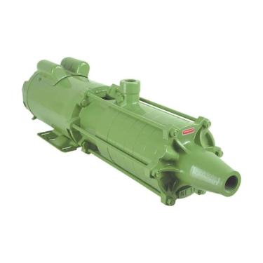 Imagem de Motobomba Centrifuga Schneider ME-AL 1420 2CV 127/220V