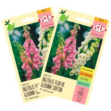 Imagem de 2X Sementes de Digitalis/Flor de Gloxinia (Sortida) ISLA