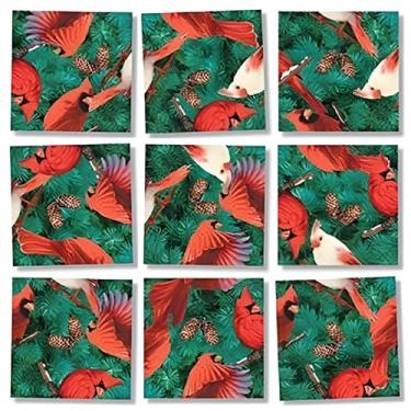 Imagem de Scramble Squares Cardinals 9 Piece Challenging Puzzle - Ultimate Brain Teaser and Mind Game for Young and Senior Alike - Engaging and Creative With Beautiful Artwork - By B.Dazzle