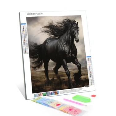 Imagem de Black Horse 5D Diamond Art Painting Full Drill Diamond Art Painting by Number Kits para adultos contas redondas mosaico ponto cruz para decoração de parede 30 x 40 cm