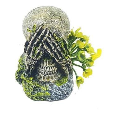 Imagem de Enfeite Crânio Não Vejo - D24 - Aquária - Aquaria