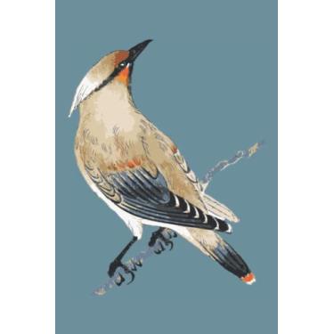 Imagem de Brown Bird Notebook: Spirit Mountain Blue Matte Finish Lined Journal, 120 Pages, 6 x 9, Gift For Thinkers, List Makers and Doers (Brown Bird Journal)