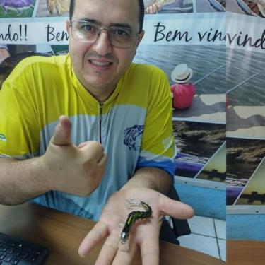 Imagem de Isca Artificial Articulada Flex X 105 Meia Água