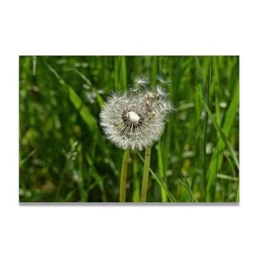 Imagem de Arte de parede pintura em tela dente-de-leão com sementes caídas impressão de pôster para sala de estar quarto cozinha escritório 75 x 50 cm