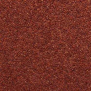 Imagem de Quinoa Vermelha em Grãos 100g  Sabor Intenso, Textura Única e Nutrição