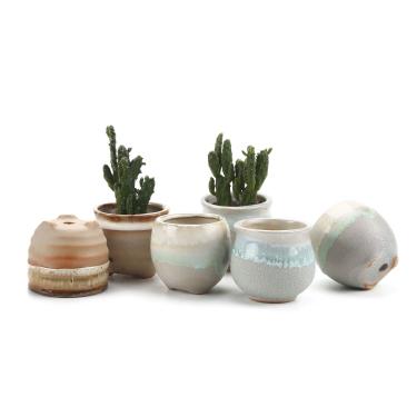 Imagem de T4U Conjunto de 6 vasos pequenos de cerâmica para suculentas com drenagem, mini vasos para plantas, minúsculos vasos de porcelana, vasos de flores para plantas de ar e cacto, recipientes de plantas