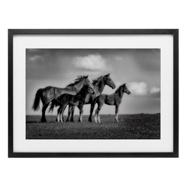 Imagem de Stupell Industries Babies On Board Horse Family Impressão emoldurada preta sob vidro design por Wendy Caro, 17 x 23