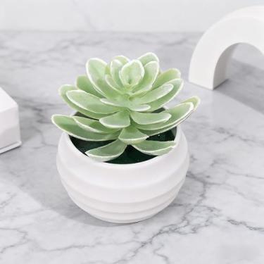 Imagem de Bonsai Plantas Simulação Suculentas Mini Bonsai Perene Cacto Suculenta Plástico Decoração de Plantas Falsas (Branco Verde)