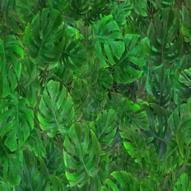 Imagem de Quadro Decorativo Estampa Tropical Folhas Verdes Arte em Canvas para Decoração de Interiores 50x50cm