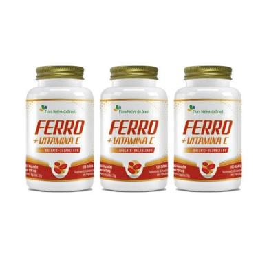 Imagem de Kit 3x Ferro + Vitamina C 500mg 3x60 cápsulas Flora Nativa Sabor:Sem s