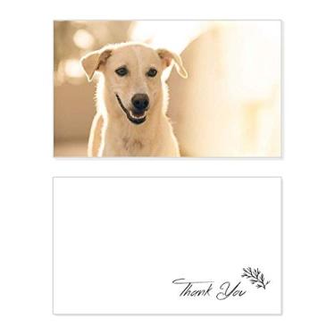 Imagem de Imagem de animal de estimação Smile White Dog Cartão de agradecimento aniversário comemoração casamento agradecimento