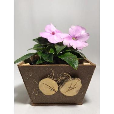 Imagem de Cachepot Rustico Artesanal Em Madeira Mdf - Chachopot