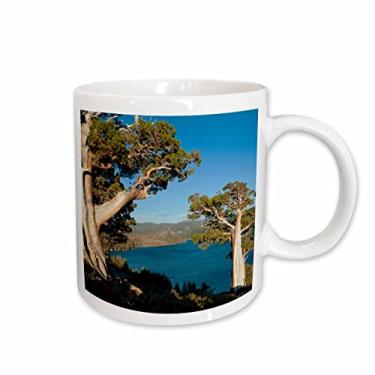 Imagem de 3dRose Buffalo Traverses Mammoth Hot Springs, Yellowstone NP, Caneca Wyoming, 425 g