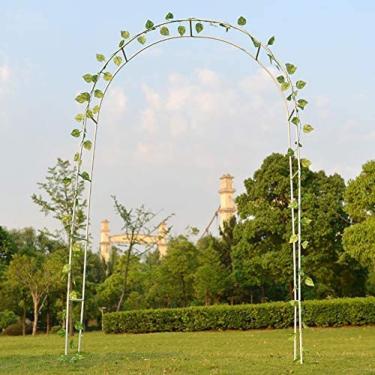 Imagem de Arco De Jardim, Arco De Jardim De Metal, Caramanchão Tubular Forte Resistente, Para Várias Plantas Trepadeiras, Quintal De Gramado De Jardim Ao Ar Livre,UMA,Collector88