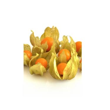 Imagem de Semente Fisalis Goldenberry 700mg - Feltrin