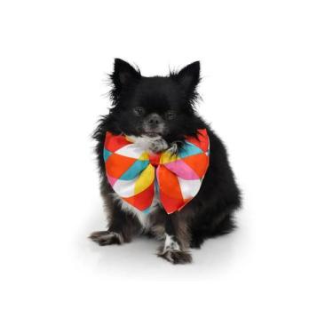 Imagem de Gravata Palhacinho para Cachorro e Gato Pet - Bichinho Chic, Variadas,