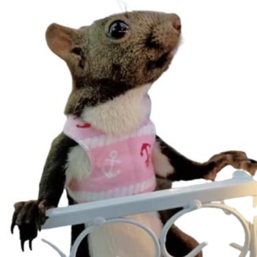 Imagem de Arreio de esquilo, conjunto de coleira para animais de estimação pequenos, roupas macias para uso ao ar livre para porquinho-da-índia chinchila esquilo furão (rosa D)