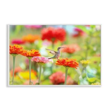 Imagem de Stupell Industries Design de arte giclée emoldurado branco beija-flor fada do açúcar por Carrie Ann Grippo-Pike, 40,6 x 61 cm