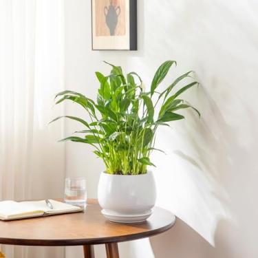 Imagem de vancasso SELENE Caneca de chá de porcelana com infusor e tampa, folhas soltas, tipo 05, lavável na lava-louças e no micro-ondas