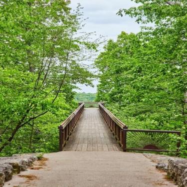 Imagem de Quadro Decorativo Vertical Treetop Canopy - Arte de Parede Moderna e Sofisticada Tamanho 30x30cm