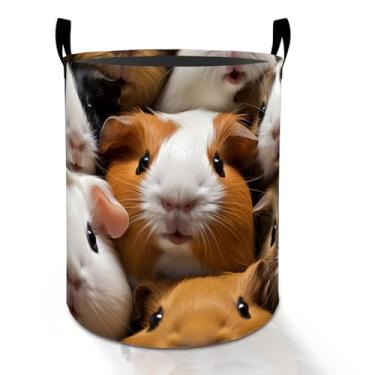 Imagem de Cesto de roupa suja de porquinho-da-índia para meninos, meninas, crianças e adultos, cesto de armazenamento de roupas Oxford dobrável à prova d'água, organizador de animais de estimação fofo para