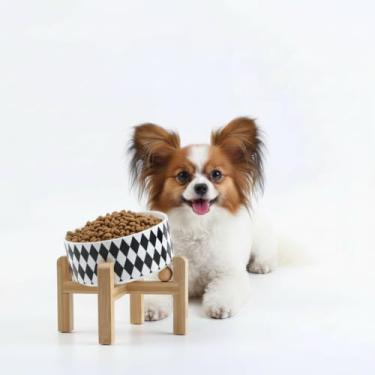 Imagem de Petygooing Tigela inclinada/elevada inclinada de cerâmica para cães de 15° para raças pequenas, tigela antiderrapante inclinada para animais de estimação, prato de água com suporte para gatos e cães