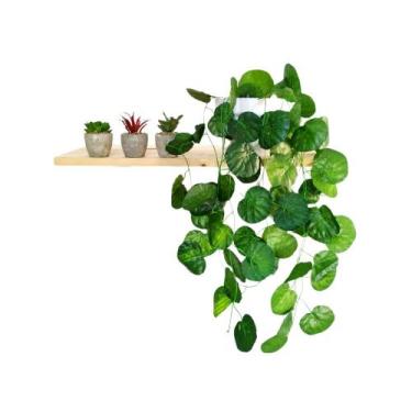 Imagem de Arranjo de Trepadeira artificial em Vaso de Plástico Branco - Nacional