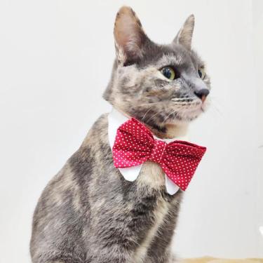 Imagem de Colarinho pet, gravata pet - Berlim - Petna Moda Pet, Azul, P