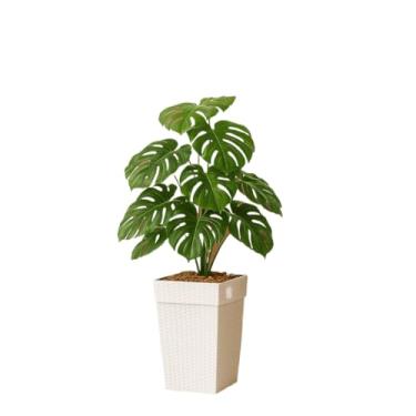 Imagem de Kit Completo Costela de Adão Artificial com Vaso Branco Estilo Rattan – Planta Decorativa Realista para Decoração de Interiores e Exteriores Sem Manutenção