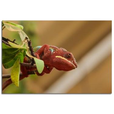 Imagem de Chameleon Wall Art Reptile Canvas Prints Close Up Poster For Home Conjunto de 1 Decorações Noframed 30.5 cm x 20.3 cm