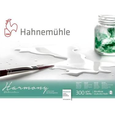 Imagem de Bloco Harmony Hahnemuhle 300gr Textura Satinada 30x40cm 12fls