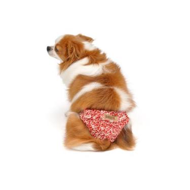 Imagem de Calcinha Higiênica com Saia para Cachorro e Gato Pet - Bichinho Chic, 