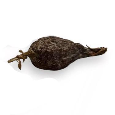 Imagem de Fava de Ataré Fruto Africano Para Rituais Religiosos 7 cm