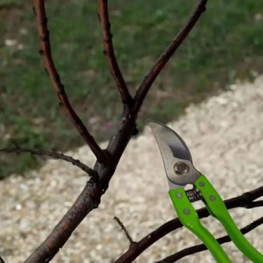 Imagem de 3pcs Tesoura Poda Inox Para Jardim Galho Grosso Grama Cerca - Minymix