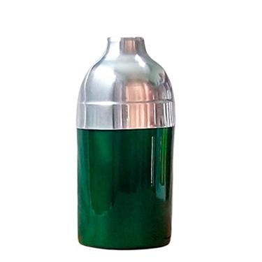 Imagem de Porta Garrafa de Cerveja em Alumínio Térmico 300Ml - Green