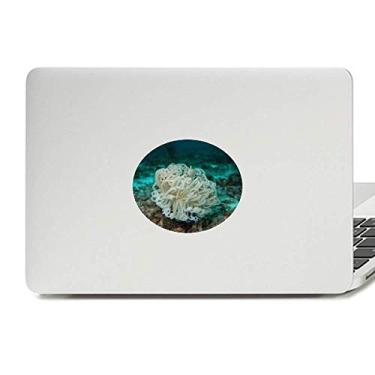Imagem de Adesivo de notebook com emblema de vinil natureza ciência verde oceano