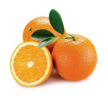 Imagem de Muda Frutífera de Laranja Valência Enxertada - AgroJardim