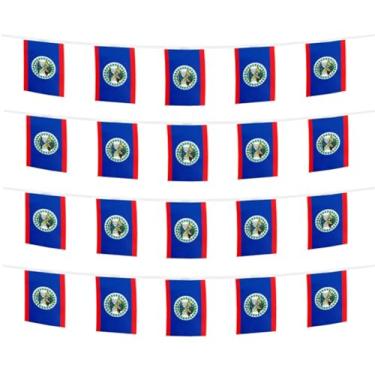 Imagem de FFILL 20 pés 20 bandeiras bandeira das Américas do Norte e do Sul, mini bandeira pequena bandeira, para festas, lojas e bares, decorações ao ar livre - bandeiras nacionais temáticas da América do Sul