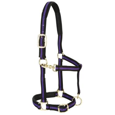 Imagem de Weaver Leather Cabresto de cavalo de nylon acolchoado ajustável, roxo, cavalo grande de 2,54 cm