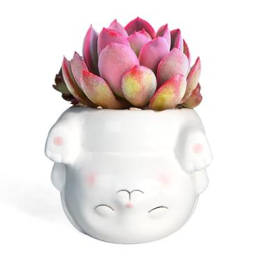 Imagem de YINUOWEI Lindo vaso de flores suculentas para decoração de jardim de bonsai de cacto, coelho