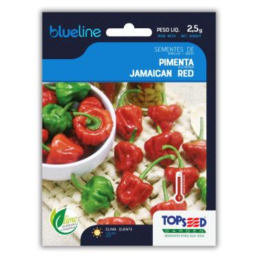 Imagem de TOPSEED, Semente de Pimenta Jamaican Red Blueline TOPSEED