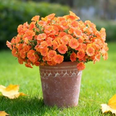 Imagem de BLISOUL Flores artificiais de outono laranja para decoração ao ar livre, 12 pacotes de flores de seda realistas com eucalipto para decoração de casa de outono, pátio, varanda, jardim, janela, quintal
