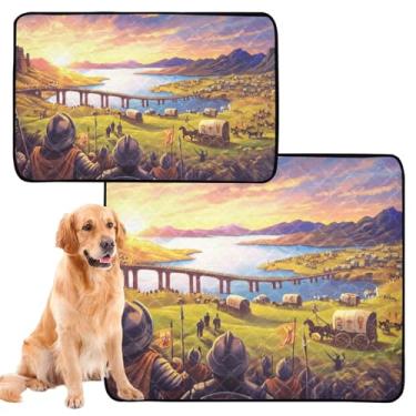 Imagem de Almofadas laváveis para cães à prova d'água para cercadinho colorido vintage pôr do sol reutilizável almofada de xixi para gatos, almofadas de treinamento de filhotes à prova de vazamento, pequeno x